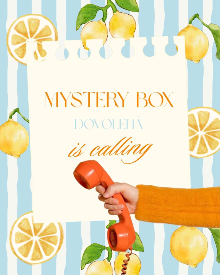 Domů 8 Prázdninový Mystery Box